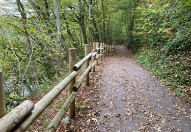 Trail Walking Durbuy - Durbuy belle boucle depuis le centre - Photo