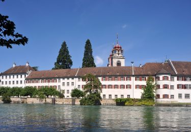 Percorso A piedi Laufen-Uhwiesen - Nohlbrücke - Wehrbrücke Rheinau - Photo