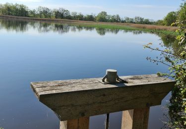 Percorso Marcia Mézières-en-Brenne - Mézières - Domaine de Bellebouche - Photo