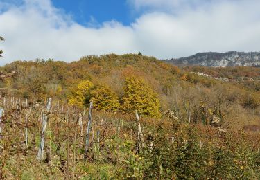 Trail Walking Saint-Jean-de-Chevelu - sr jean de chevelu 2011 - Photo