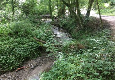 Tour Wandern Charleroi - 2021-08-15 Ry d’Haies - Photo