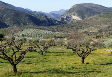 Excursión Senderismo Villeperdrix - Villeperdrix-L'Angèle 13km - Photo