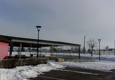 Randonnée Marche Préaux - 20240120-Preaux - Photo