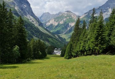 Randonnée Marche Pralognan-la-Vanoise - Mont Bochor, Refuge des Barmettes, les Fontanettes, Pralognan  - Photo