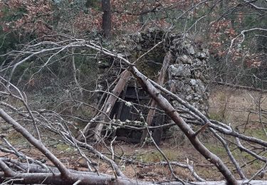 Trail Walking Signes - sur les traces de Manon-Signes-18-12-20 - Photo