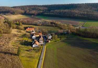 Randonnée A pied Oberschwarzach - Rundweg Stollburg - Photo