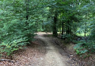 Excursión Bici de montaña Saint-Hubert - Après plus de 2 ans sans faire de vélo 🙄 - Photo