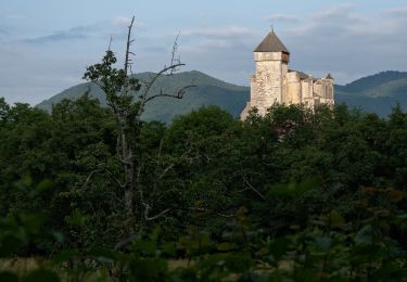 Tour Zu Fuß Saint-Bertrand-de-Comminges - Saint-Bertrand-de-Comminges : au coeur du Comminges - Photo