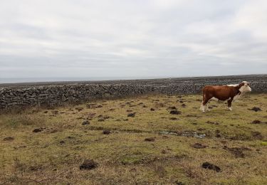 Randonnée Marche Conamara Municipal District - Tour 12 km à Inishmaer - Photo