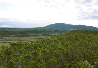 Trail Walking Montbrun-des-Corbières - MONTBRUN DES CORBIERES rocher du renard - Photo