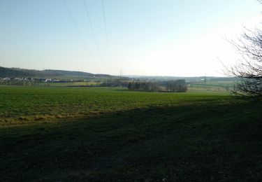 Excursión A pie Wenzenbach - O 27 Maad - Irlbach (Grünes Dreieck) - Photo