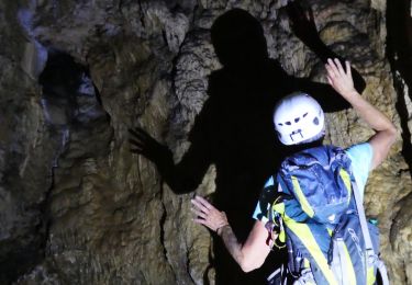 Excursión Senderismo La Buisse - Le trou noir de la buisse - Photo