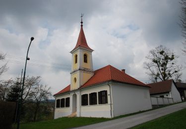 Randonnée A pied Gemeinde Wiesfleck - Wanderstrecke gelbe Markierung - Photo