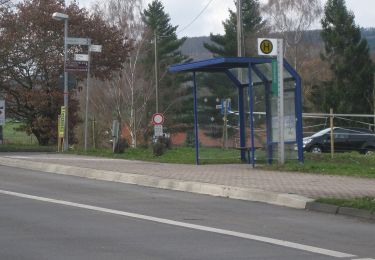 Tour Zu Fuß Schauenburg - Schauenburg, S6 - Photo