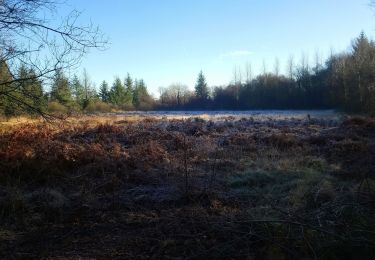 Excursión Senderismo Plounérin - Trop lann Droën - Photo