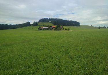 Tocht Stappen Altusried - Rundum den Vogelberg - Photo