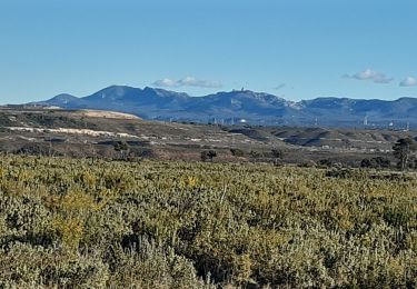 Trail Walking Vitrolles - Plateau de Vitrolles - Photo