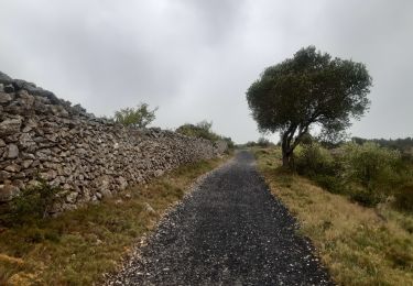 Trail Walking Leucate - mon sentier des pêcheurs  - Photo