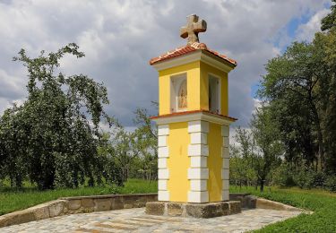 Tour Zu Fuß Gemeinde Zwettl-Niederösterreich - Evangelistenweg 12 - Photo