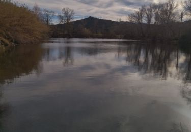 Tour Wandern La Crau - La Crau, le Fenouillet, le lac - Photo