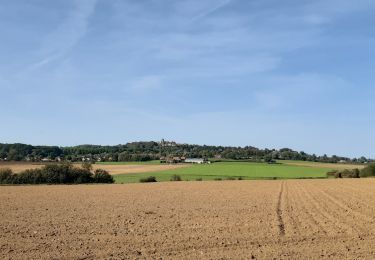 Tocht Stappen Kassel - Du côté de Cassel - Photo