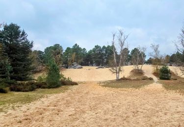 Tour Zu Fuß Le Vaudoué - Boucle Le Vaudoué - Photo