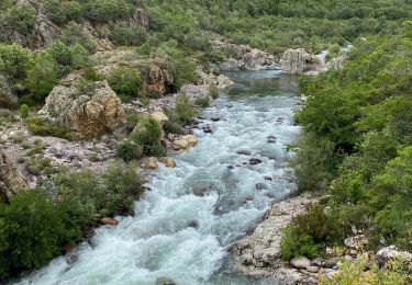 Percorso Marcia Évisa - Corse 2023: Refuge de Puscaghia - Tuvarelli - Photo