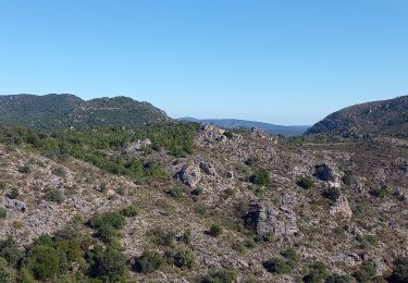 Tour Wandern Montpeyroux - Mont St Baudille - Photo