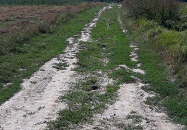 Percorso Marcia Engis - clermont-sous-huy  - Photo