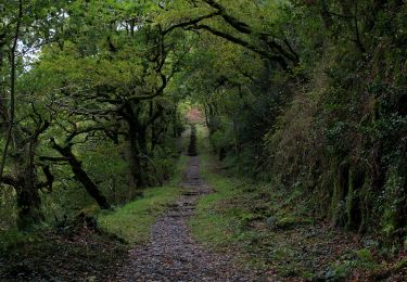 Trail On foot  - Quarryman's Path - Photo