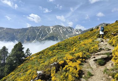 Tour Wandern Valmanya - Canigou Alain A - Photo