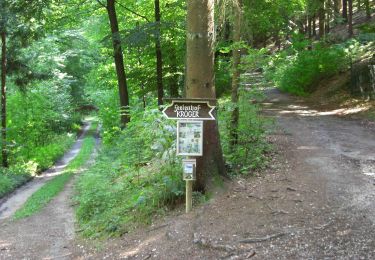 Tour Zu Fuß Unbekannt - Bergmannsweg - Photo