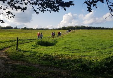 Randonnée Marche Villers-la-Ville - VLV_1023 - Photo