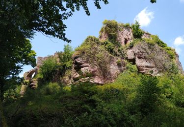 Tocht Stappen Ottrott - Boucle Sainte Odile & mur Paien - Photo