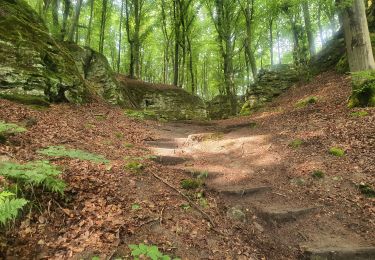 Trail Walking Echternach - 2025-06-08 Echternach - Consdorf - Photo