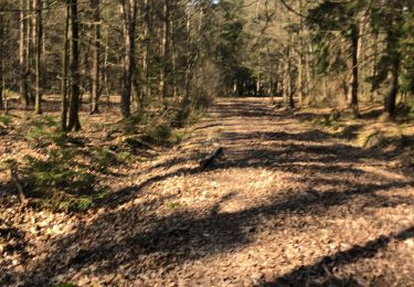 Trail On foot Theux - Balade Banneux-Hodbomont 10 KM - Photo