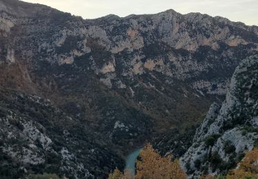 Randonnée Marche La Palud-sur-Verdon - sentier bastidon 999m 17.6k - Photo