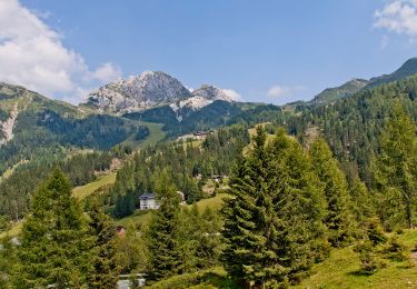 Tocht Te voet Paularo - (SI A05) Cason di Lanza - Prato Pramollo - Photo