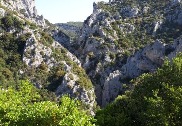 Trail Walking Prugnanes - Cathares E7 Prugnanes Duihlac 07.06.2019 - Photo