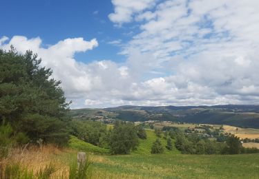 Trail Walking Saint-Pierre-de-Nogaret - la croix du Pal - Photo