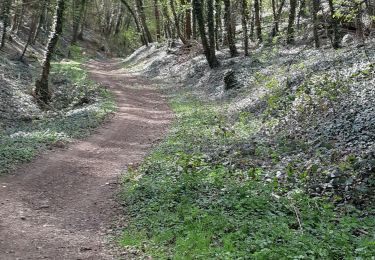 Randonnée Marche Romagnat - JUSSAT DEPUIS BAS PLATEAU GERGOVIE - Photo