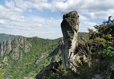 Trail Walking Prévenchères - La Garde Guerin - Photo