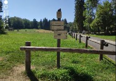 Trail Walking Annecy - A la découverte des Chalets de Barbenoire - Photo