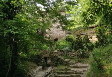 Trail Walking Laroque-des-Albères - Circuit des 2 fontaines - Photo
