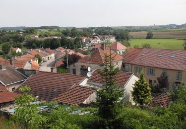 Randonnée A pied Puzieux - Sentier Sainte-Menne - Photo