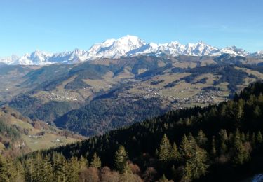 Tocht Stappen Ugine - PRAZ VECHIN depuis La Penne - Photo