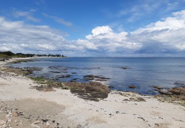 Excursión Senderismo Quiberon - Quiberon le 30 avril - Photo