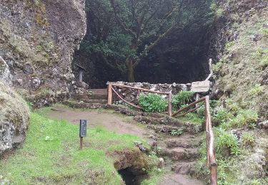 Tour Zu Fuß Valverde - San Andrés - Árbol Santo - Las Montañetas - Photo