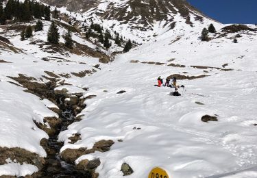 Tour Reiten Sers - Plateau d’Aoube par la cabane d’Aoube - Photo