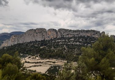 Randonnée Marche Buis-les-Baronnies - Tour du rocher St Julien - Photo